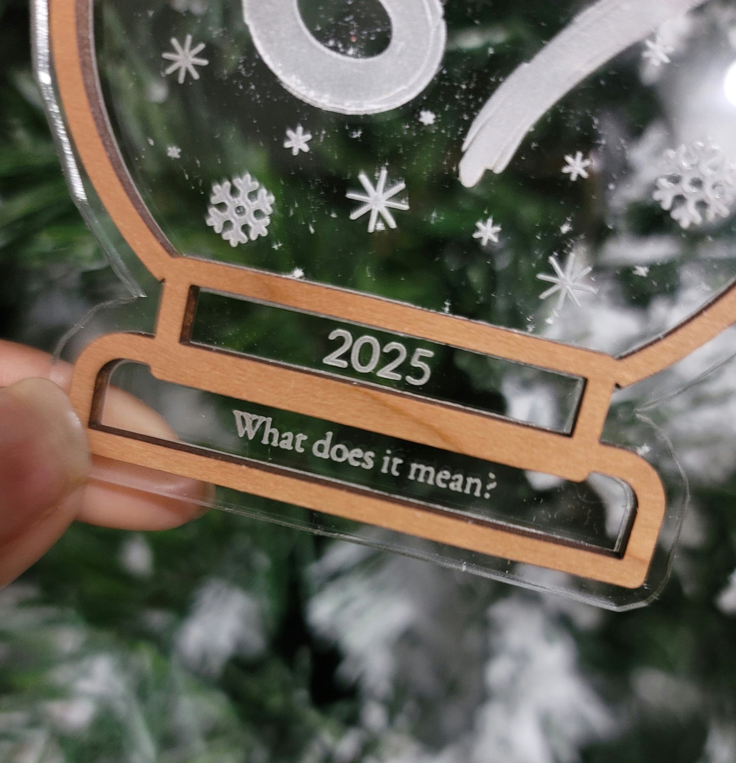 2025 "67" ornament "The year we survived"