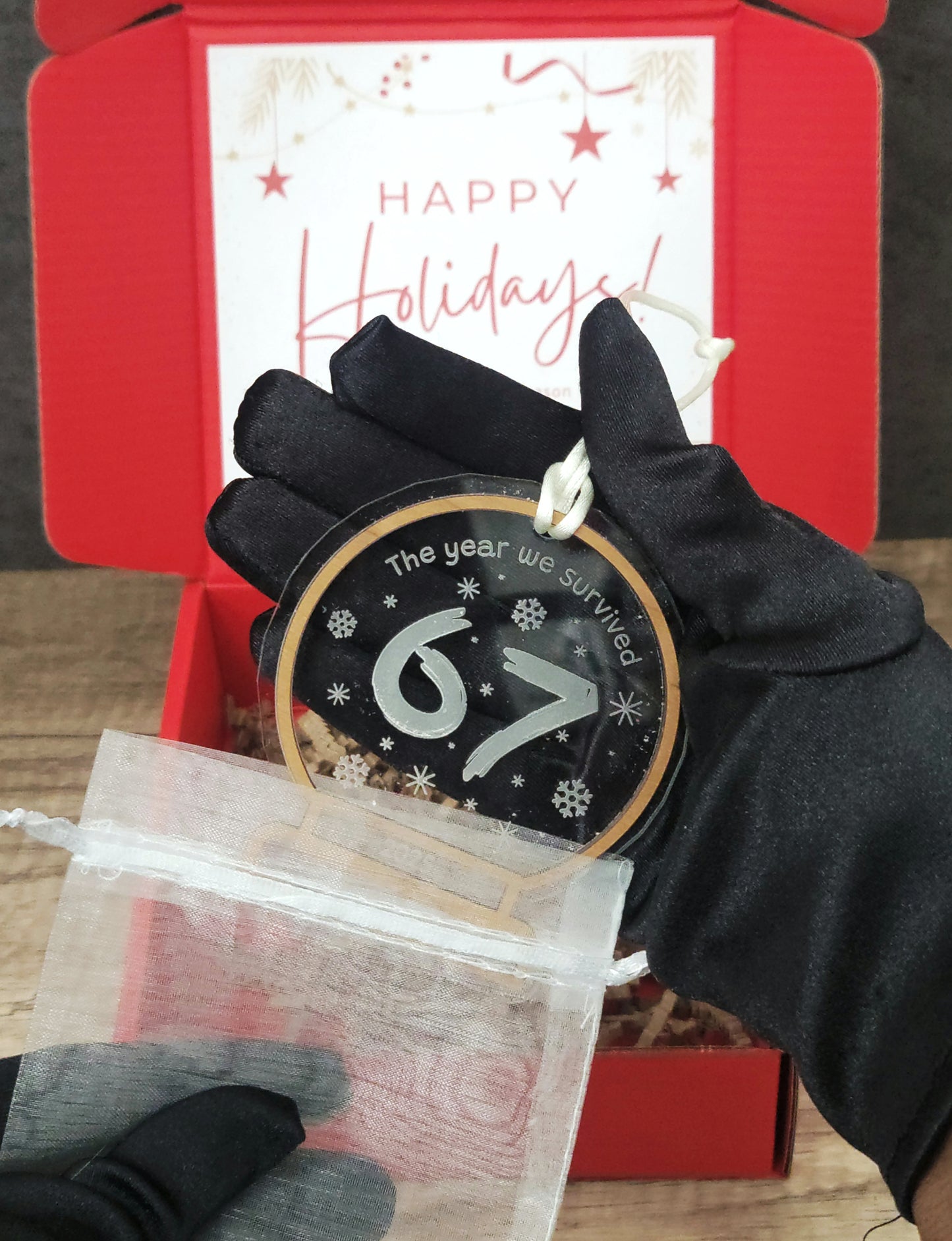 2025 "67" ornament "The year we survived"